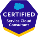 Badge Service Cloud Consultant